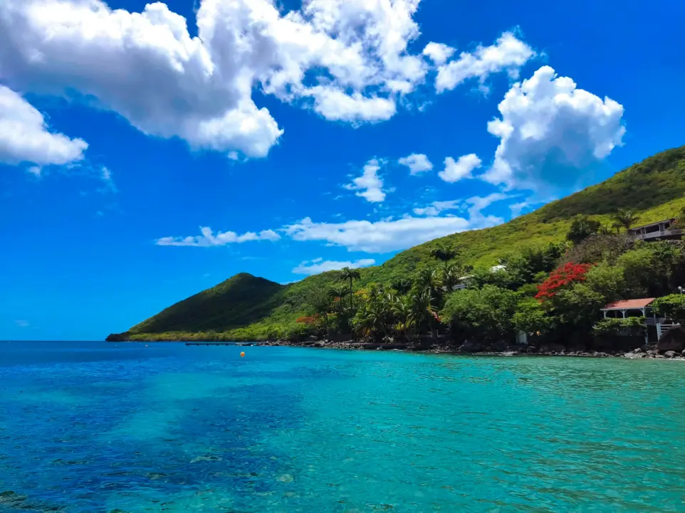 a body of water surrounded by a lush green hillside
