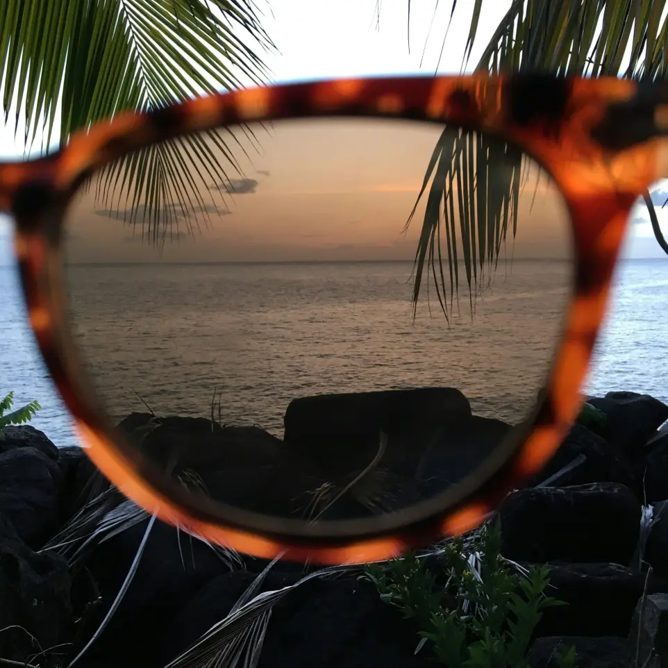 brown framed sunglasses
